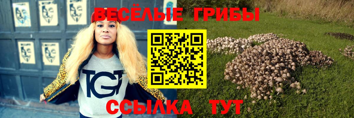 Галлюциногенные грибы Psilocybe  Псилоцибиновые грибы мицелий  Вход с VPN  Гурьевск 