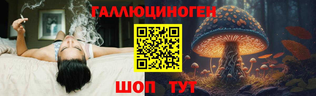 Галлюциногенные грибы Magic Shrooms Гурьевск